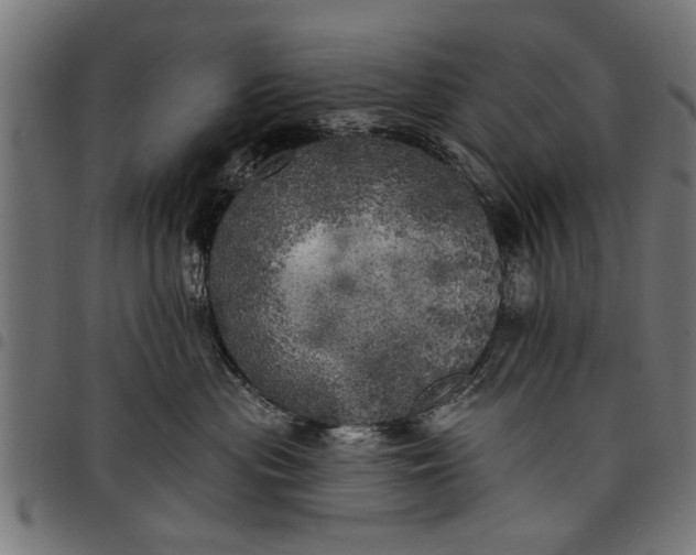 X0000097810477200803281102