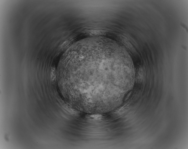 X0000097810478200803281102