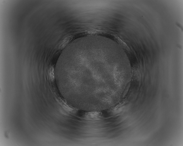 X0000097810479200803281102