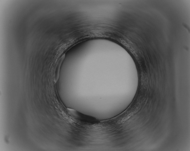 X0000097810481200803281101