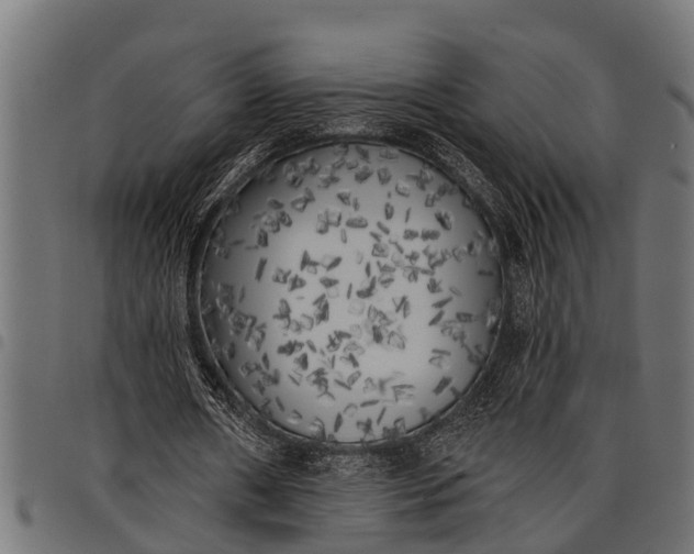 X0000097810482200803281101