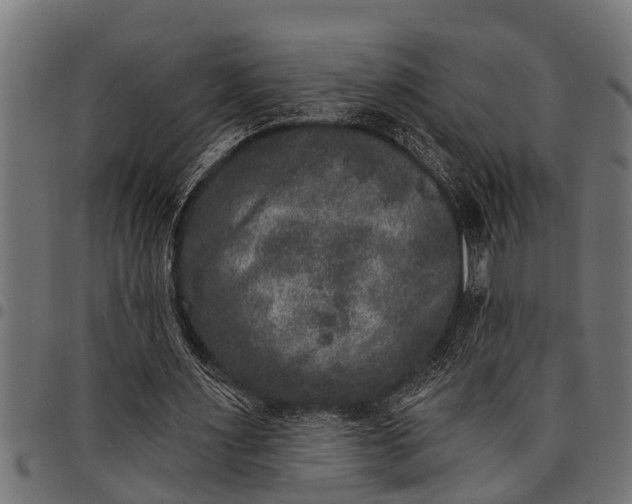 X0000097810483200803281101