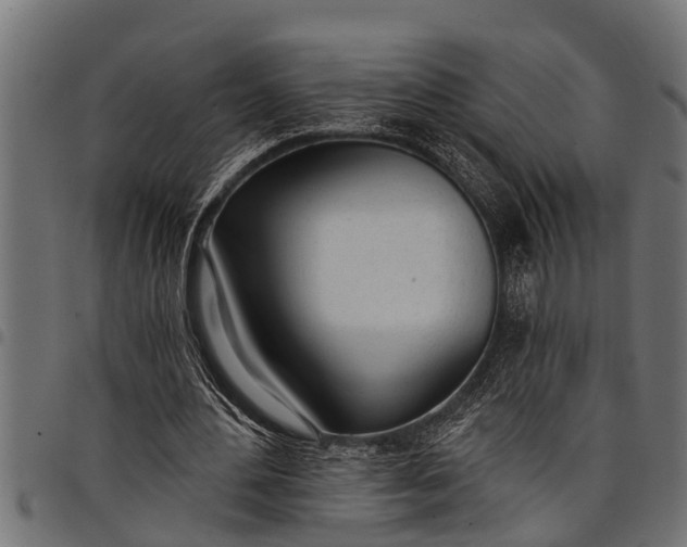 X0000097810484200803281101