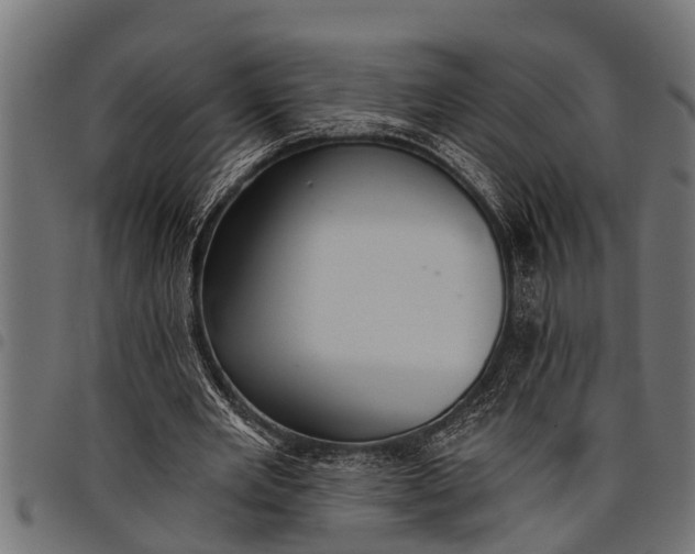 X0000097810485200803281101