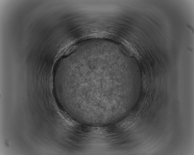 X0000097810486200803281101