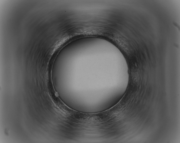 X0000097810488200803281101