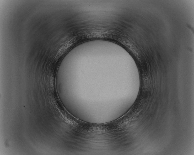 X0000097810489200803281101