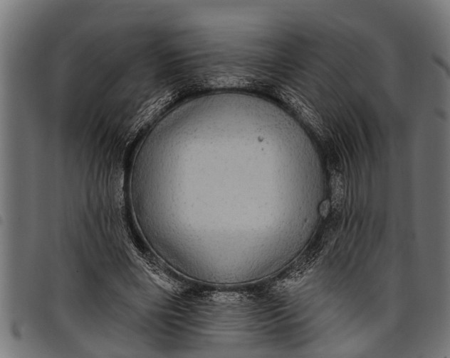 X0000097810490200803281101