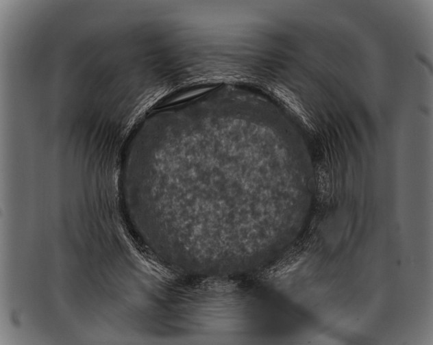 X0000097810491200803281101