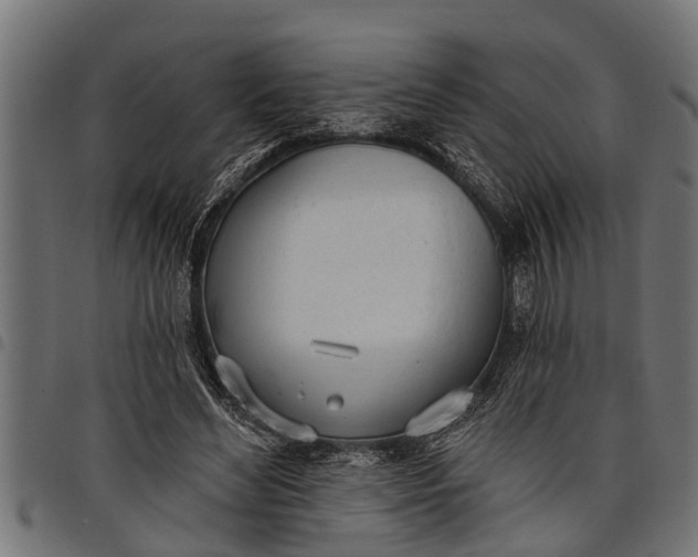 X0000097810492200803281101