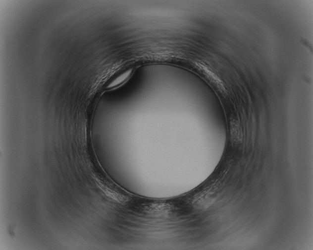 X0000097810493200803281101