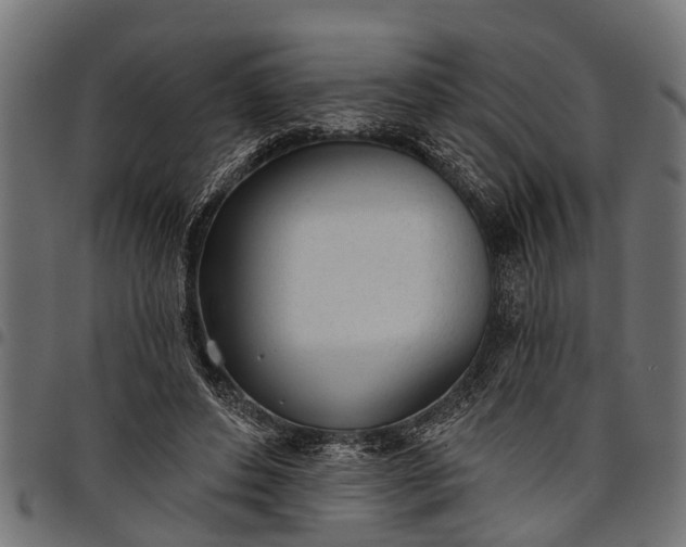 X0000097810496200803281101