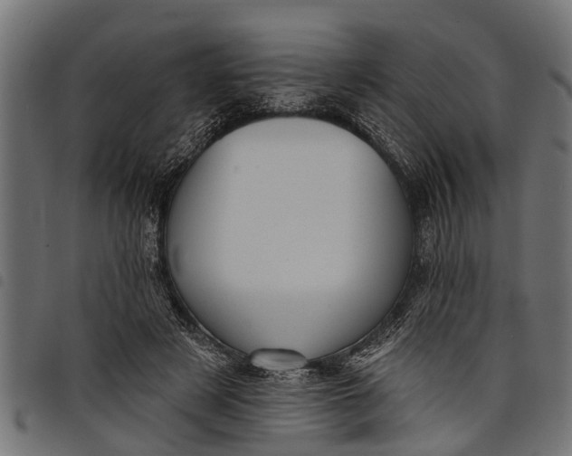 X0000097810497200803281101