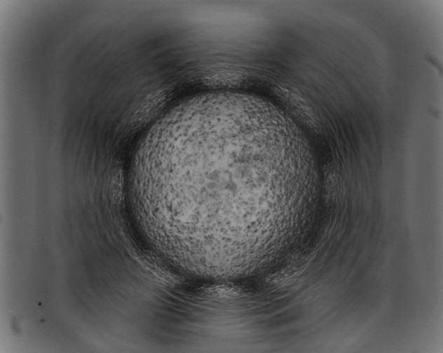 X0000097810498200803281101