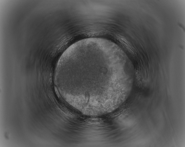 X0000097810499200803281101