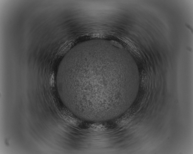 X0000097810502200803281101