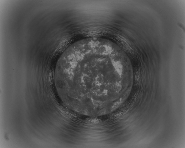 X0000097810503200803281101