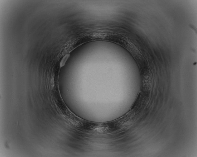 X0000097810504200803281101