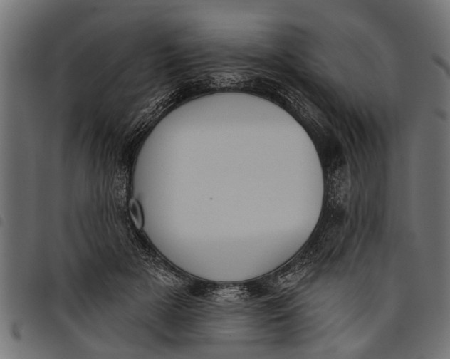 X0000097810505200803281101