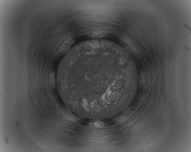 X0000097810506200803281101