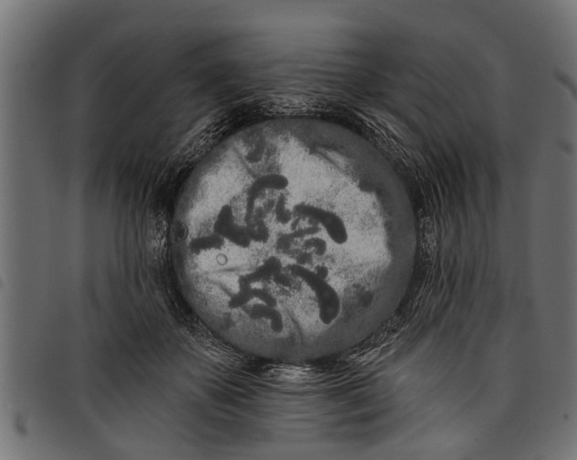 X0000097810507200803281101