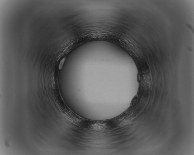 X0000097810508200803281101