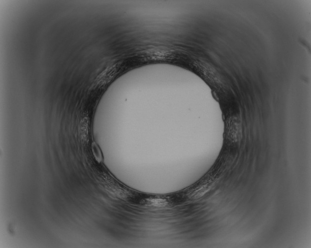 X0000097810509200803281101