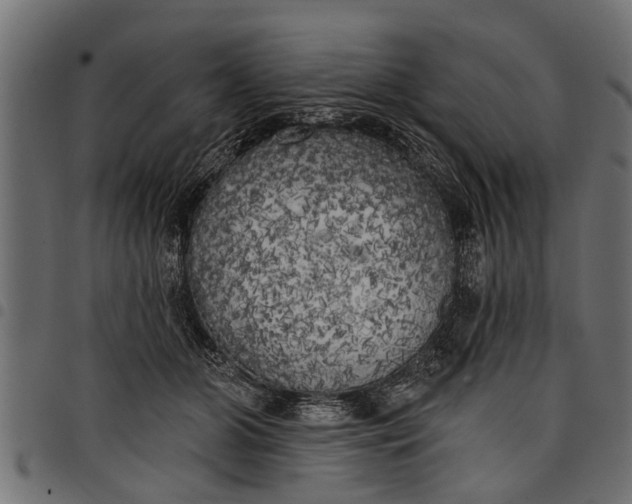 X0000097810510200803281101