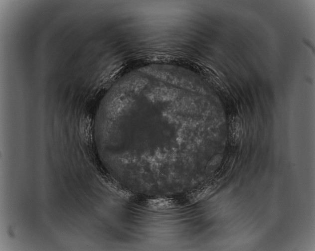 X0000097810511200803281101