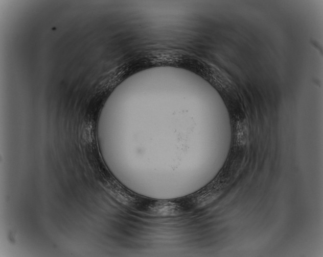 X0000097810514200803281101