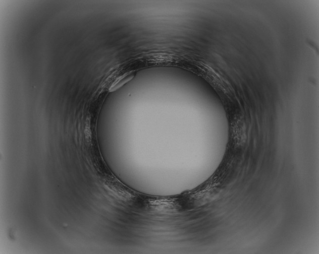 X0000097810516200803281101