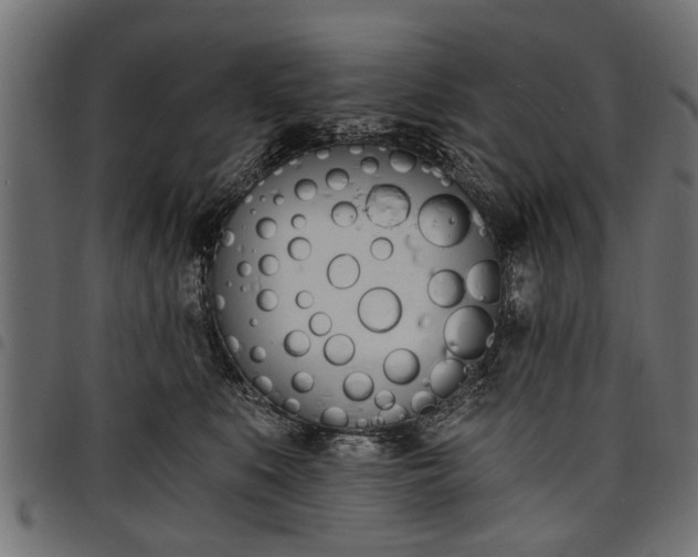 X0000097810519200803281101