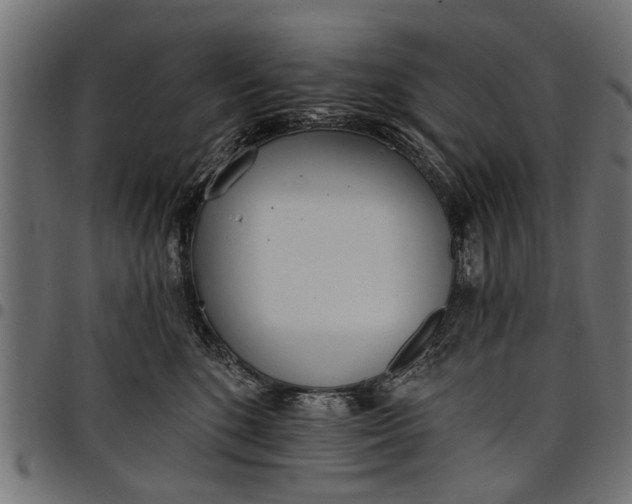 X0000097810520200803281101