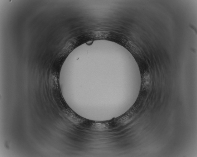 X0000097810522200803281101