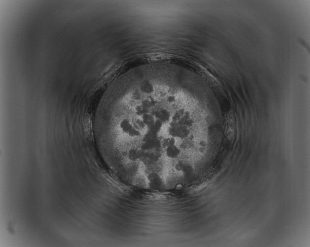 X0000097810523200803281101