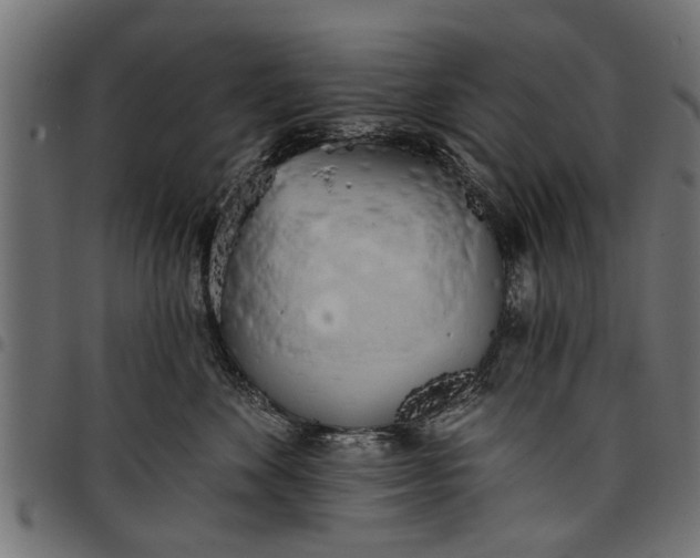 X0000097810524200803281101