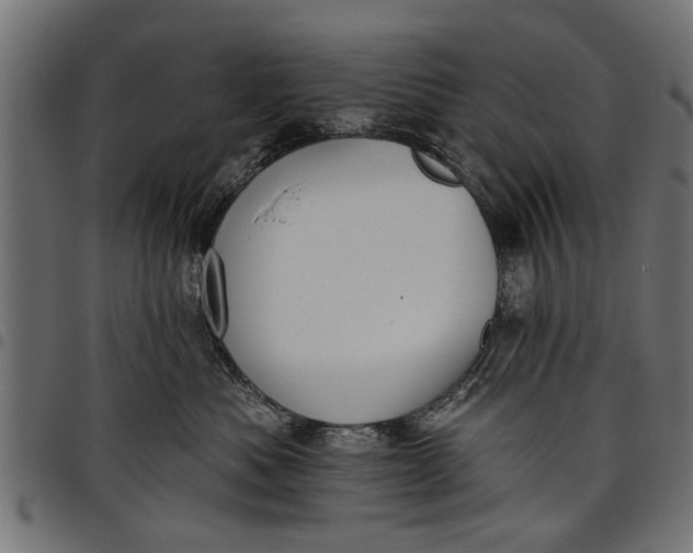 X0000097810525200803281101