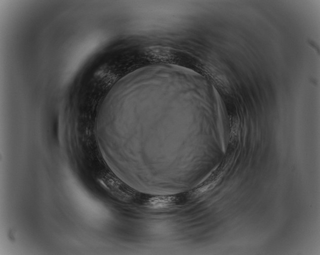 X0000097810526200803281101