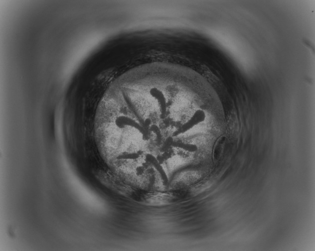 X0000097810527200803281101