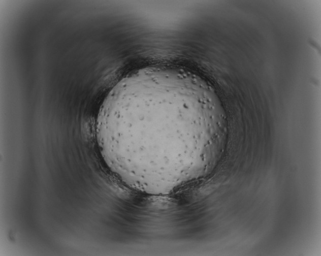 X0000097810528200803281101