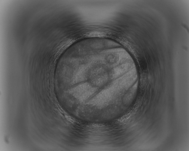 X0000097810529200803281100