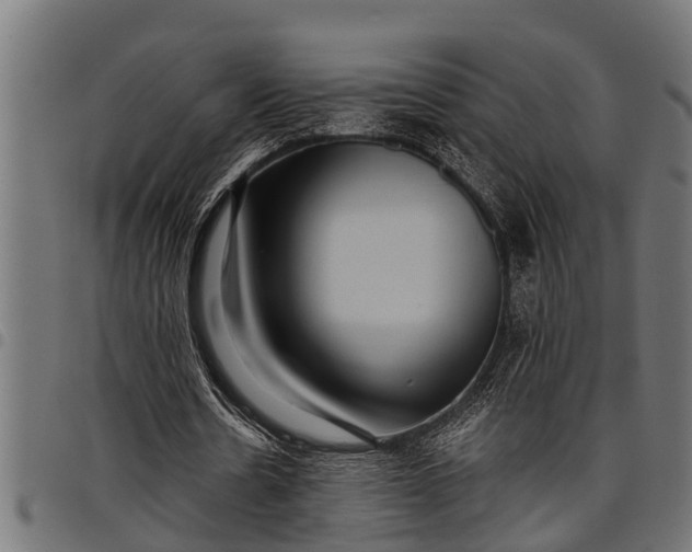 X0000097810530200803281100