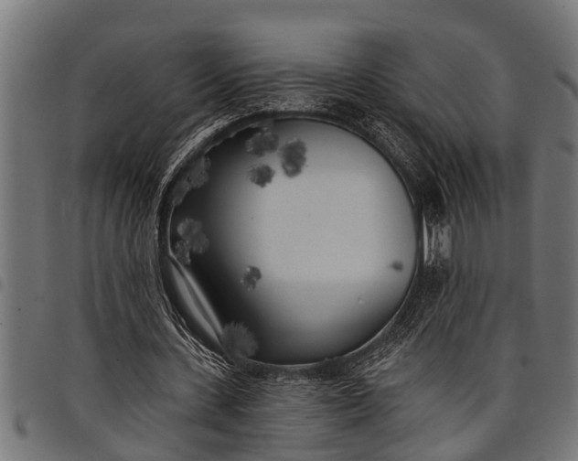 X0000097810531200803281100