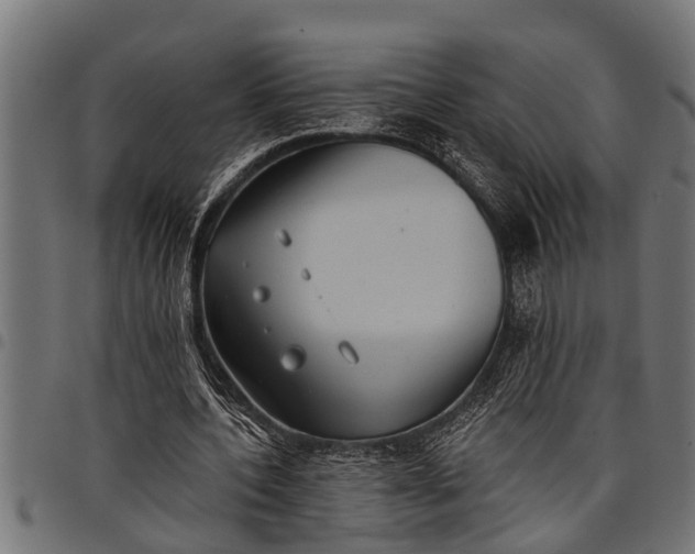 X0000097810532200803281100