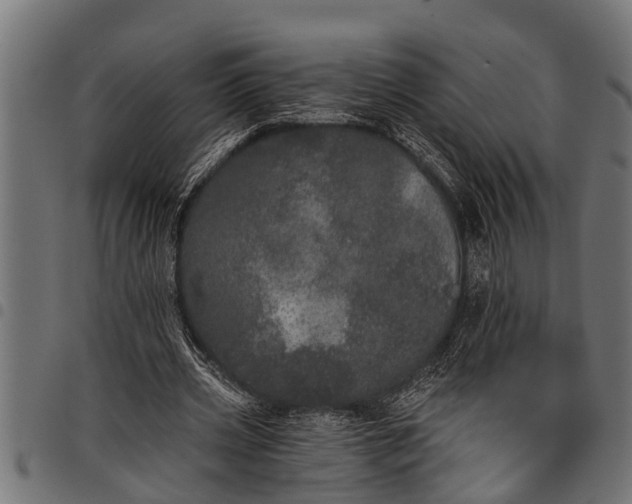 X0000097810533200803281100