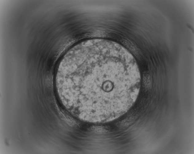 X0000097810534200803281100