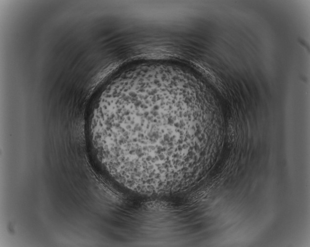 X0000097810535200803281100