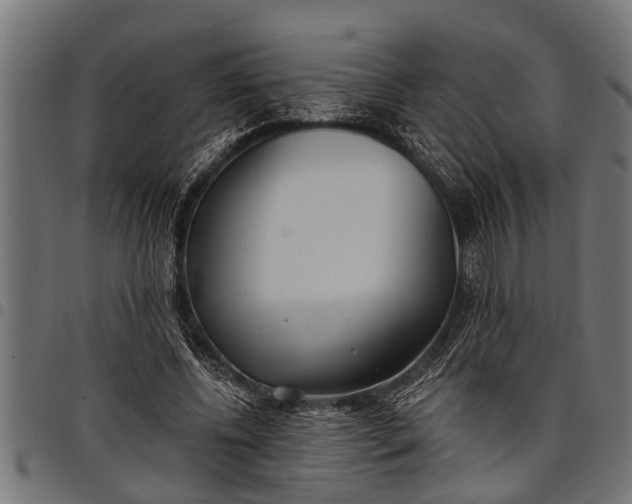 X0000097810540200803281100