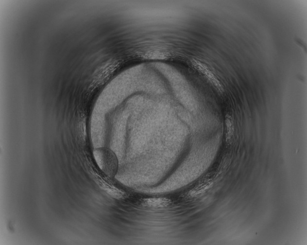 X0000097810541200803281100