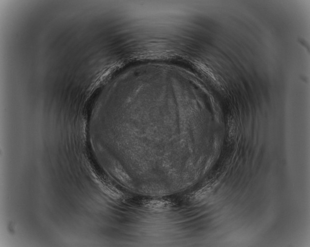 X0000097810542200803281100